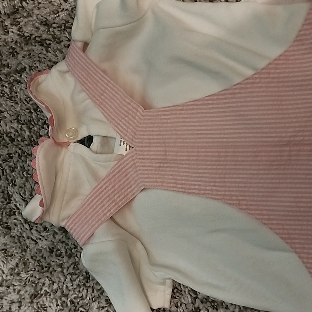 Gymboree Pink Striped Dress with Floral Embroidery - Picture 5 of 5